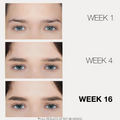 Browfood Phyto-Medic Eyebrow Enhancing Serum Results