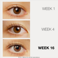 Lashfood Phyto-Medic Eyelash Enhancing Serum Results