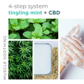 BCL SPA Tingling Mint + CBD 4 Step System